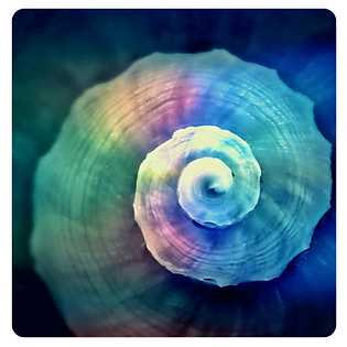 spiral mistica.png