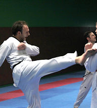Comité-Départemental-Taekwondo-44-taekwondoiste