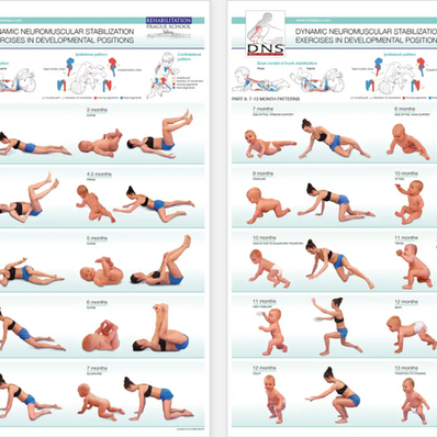 Understanding DNS Physical Therapy