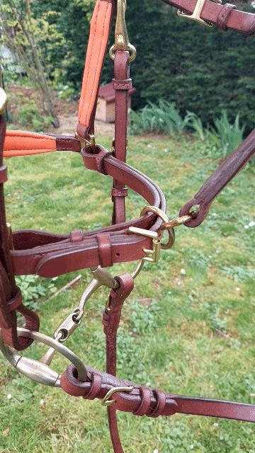 Miniature : Combo licol bridon et rênes  assorties