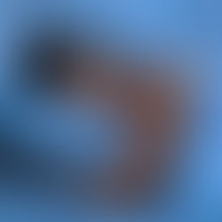 Coping with Nightmares in Animal Care, Rescue, Welfare, and Activism