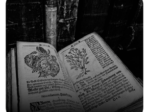 Capítulo 71. O Diário de Rowena