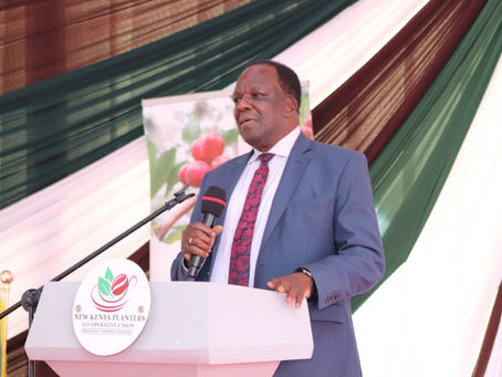 Coffee Reforms to Push Production to 200,000 Tonnes by 2029
