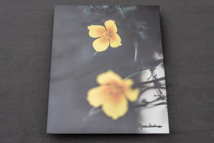 Fine Art Nature Photography, Wall Art Boutique, Aesthetic Wall Art