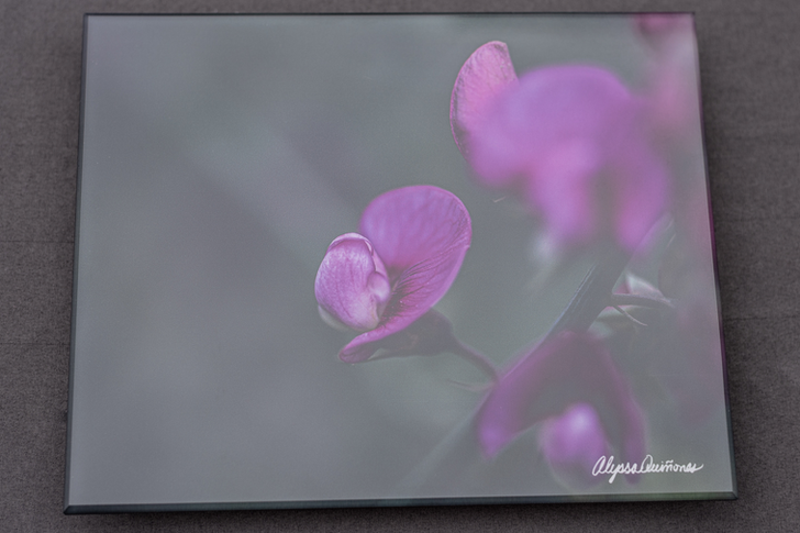 Fine Art Nature Photography, Wall Art Boutique, Aesthetic Wall Art