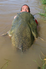 I hope these few photos will make you want to visit our Mequinenza Fishing Base.