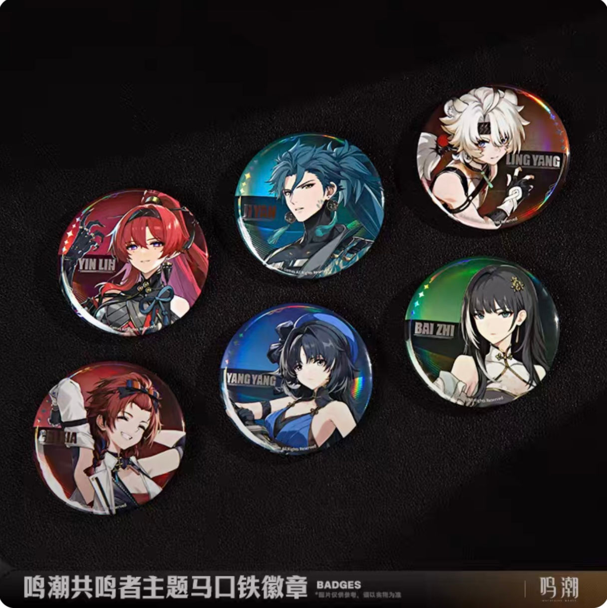 Wuthering Waves Official Round Pin Set
