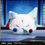Thumbnail: Honkai: Star Rail Plush