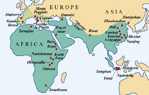 homo erectus map 2.GIF