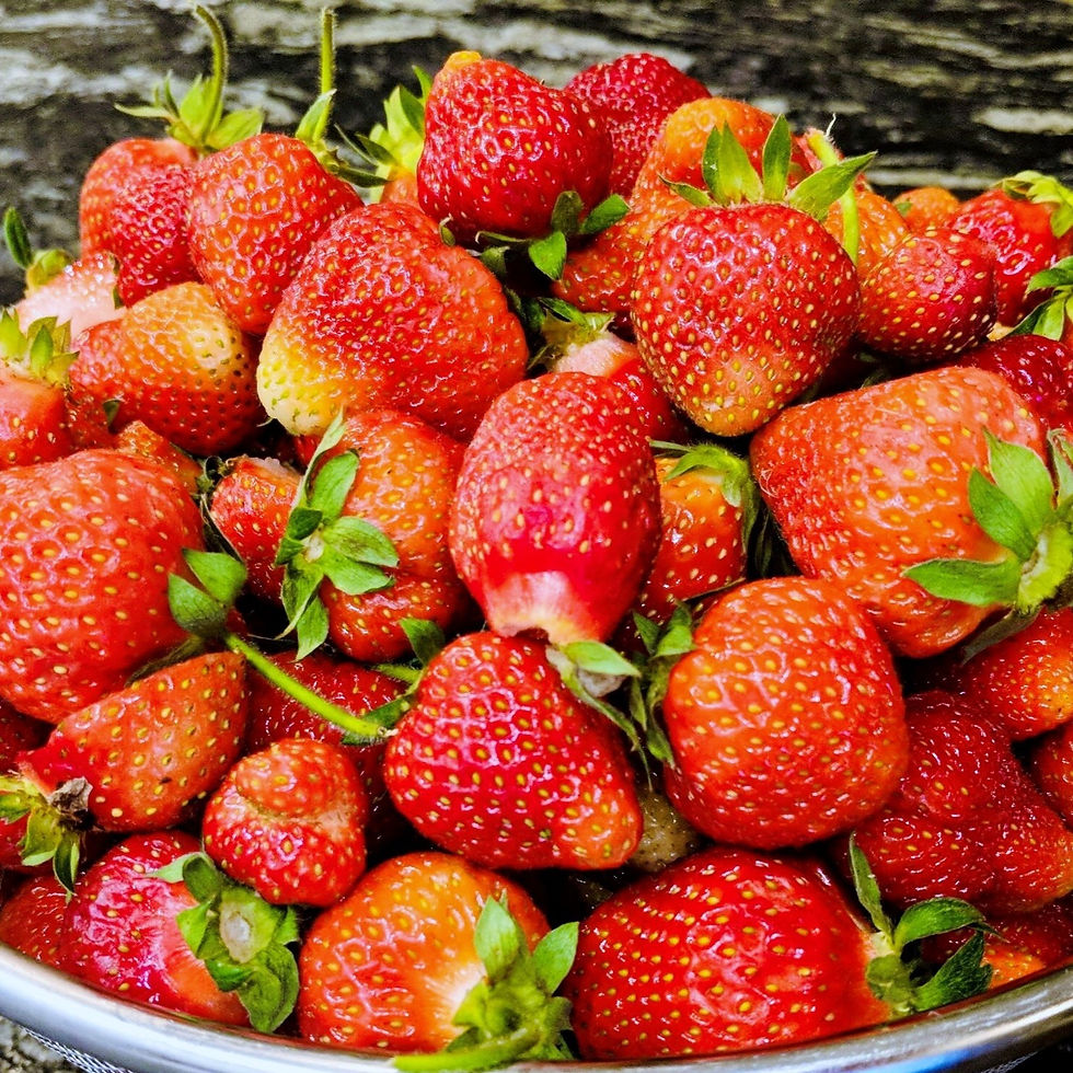 Strawberries - Quart
