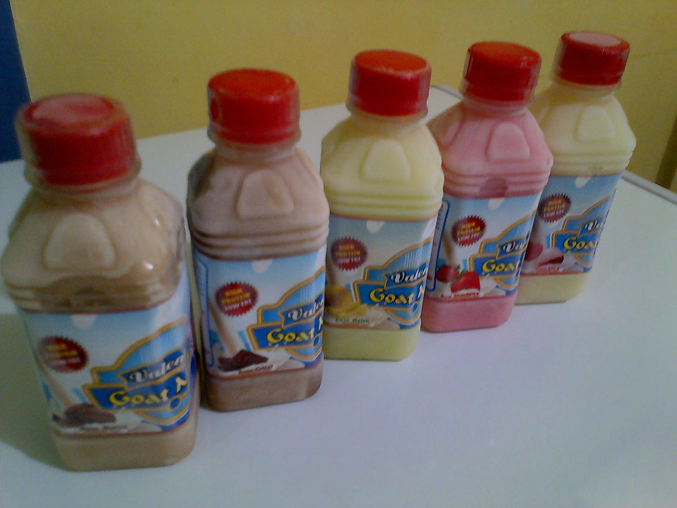 Susu Rasa Buah (siap minum)