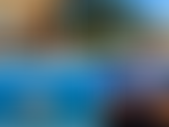 Search, Site, Secure