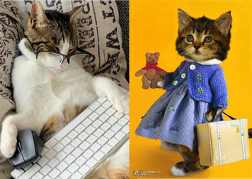 From Behind the Scenes to On the Screen