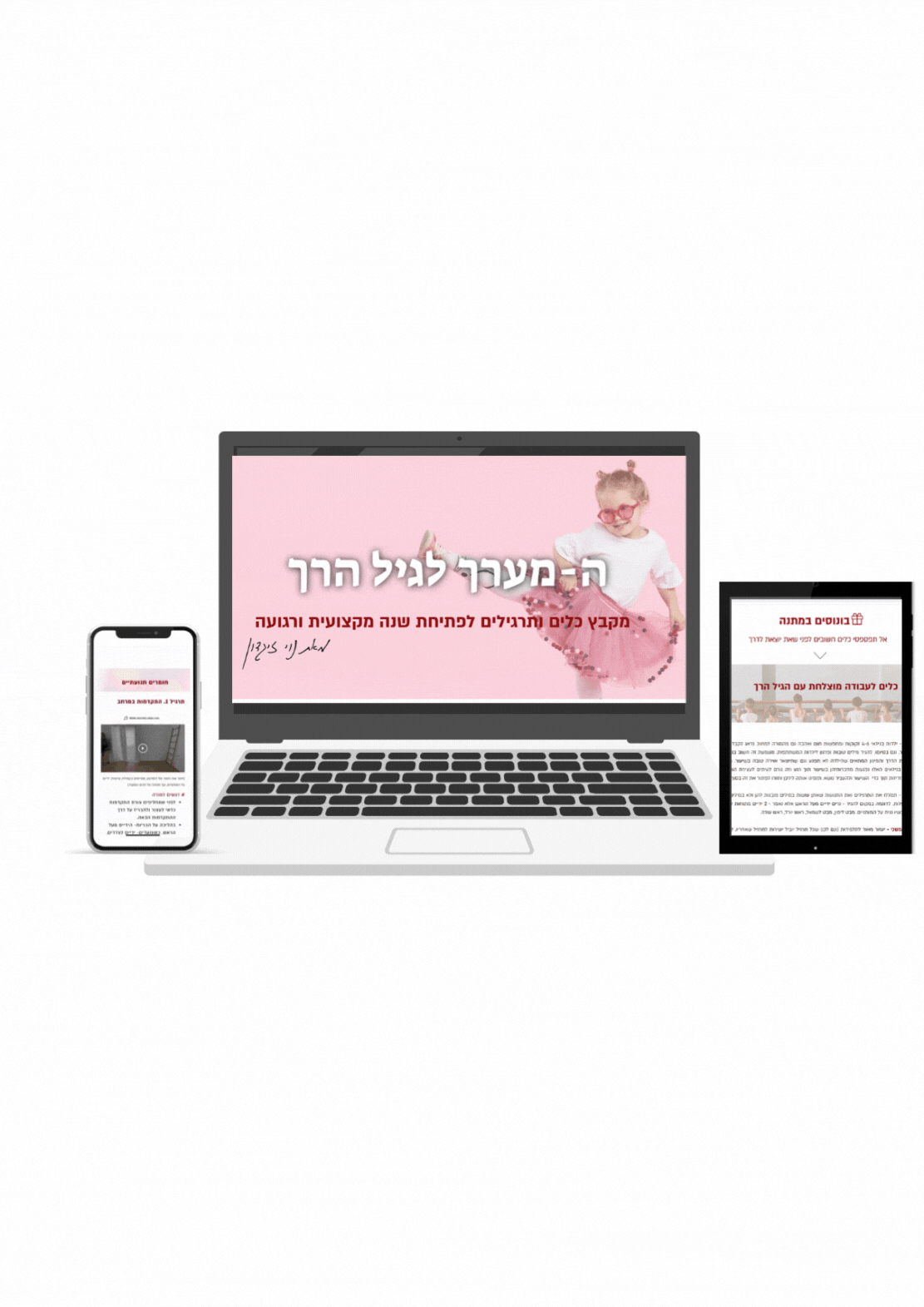 תמונה שמציגה את המערך שהוא נגיש לקריאה במחשבים וטלפונים