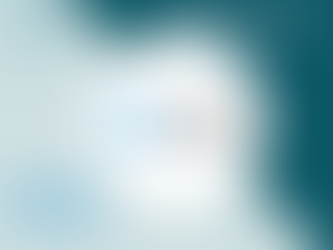 Getting the Most out of your Blue Cross Blue Shield Medicare Plan