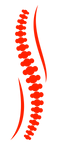 Ortopedia (11).png