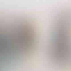 Projeto Renata Ribeiro