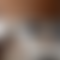 Projeto Andressa Lima