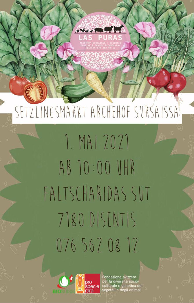 Setzlingsmarkt Archehof Sursaissa