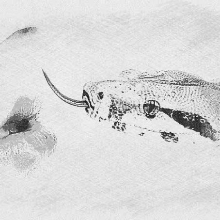 Chapitre 6 : la trahison des dames