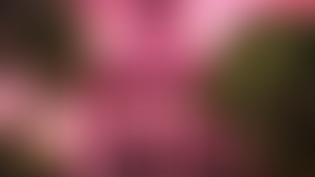 How To Drive Data Governance in Workday®