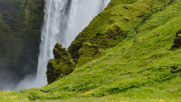 Waterfall, nature in Iceland