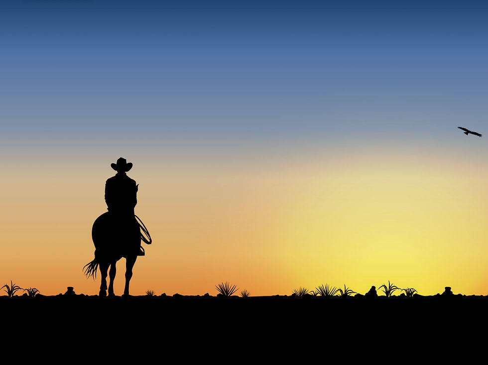 Business Owner Riding off into the sunset