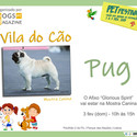 Petfestival