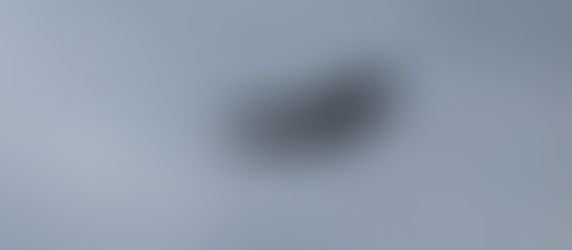 March 27. Bald-headed raptors, both reviled & revered - To Fairhaven Cliffs