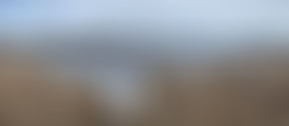 Jan. 6. Tiny visitors on crispy, yellow ice - To Great Meadows