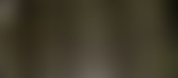 Feb. 16. Foggy atmospherics & brilliant lichens - To Walden, Emerson Cliff & Heywood Brook