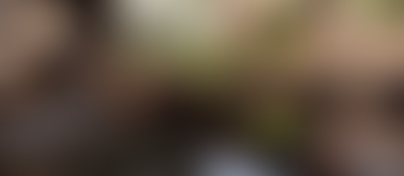 Jan. 1. In search of beauty in wild places - To Upper Spencer Brook