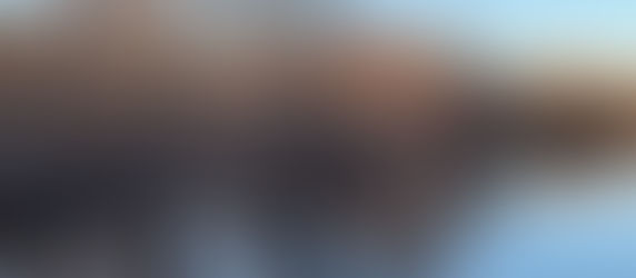 Jan. 8. Reflective waters, orchard visitors & forgotten landmarks - To Estabrook Woods via river