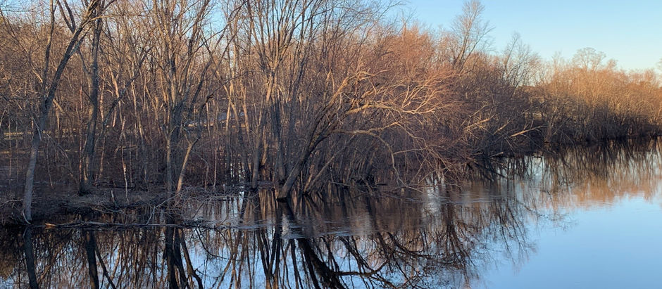 Jan. 8. Reflective waters, orchard visitors & forgotten landmarks - To Estabrook Woods via river