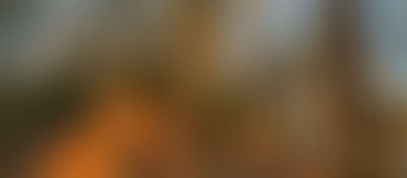 March 12. Golden-lit, tawny & surrounded by blue - To October Farm waterfront and Ball's Hill