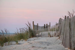 247584630_4160032110793000_8698373160238248812_n