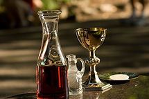 IMG_1340.jpg