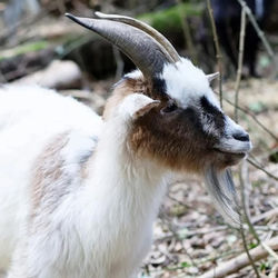 FB_IMG_1743605896099