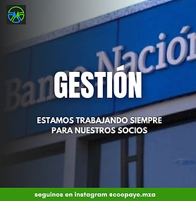 WhatsApp Image 2024-08-01 at 16.58.32.jpeg