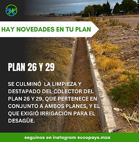 WhatsApp Image 2024-08-22 at 17.41.43.jpeg