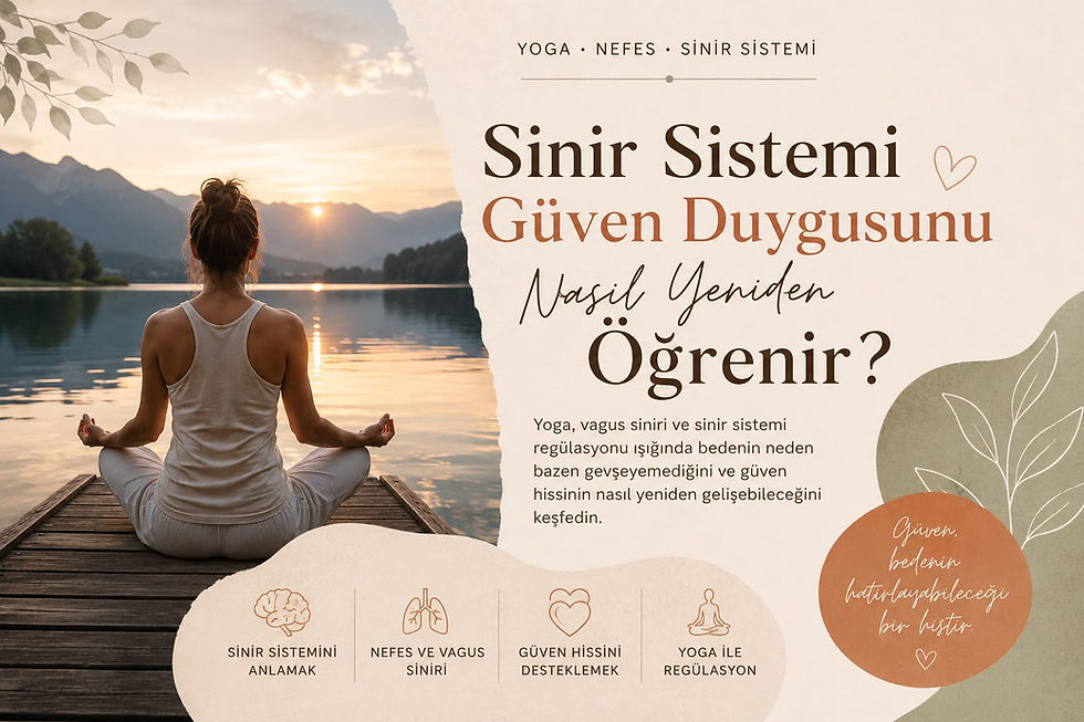 Sinir Sistemi Güven Duygusunu Nasıl Yeniden Öğrenir?