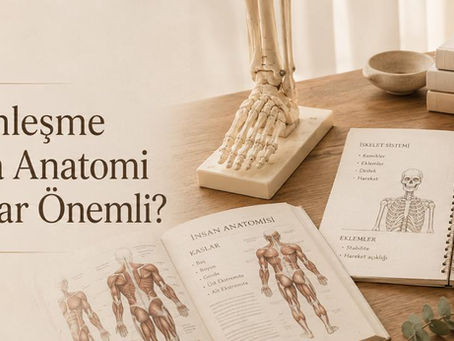 Yoga derinleşme programında anatominin önemini anlatan kapak görseli; anatomi kitapları, iskelet modeli ve notlarla sıcak tonlarda hazırlanmış yatay blog görseli.