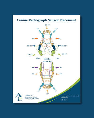 Guide Dog Sensor Canine Sensor Placement Guide Digital Download | Beyond the Crown