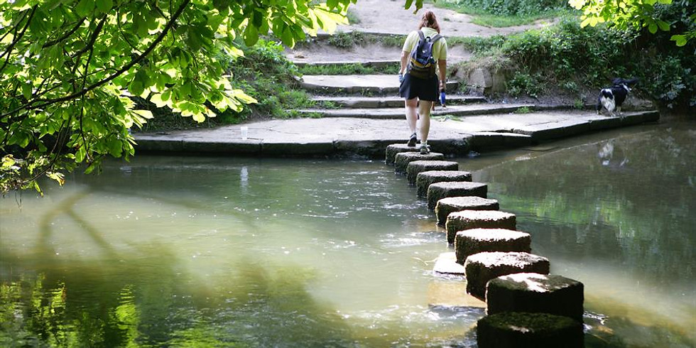 Box Hill and the Stepping Stones