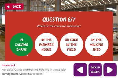 Virtual School Trip capture 5