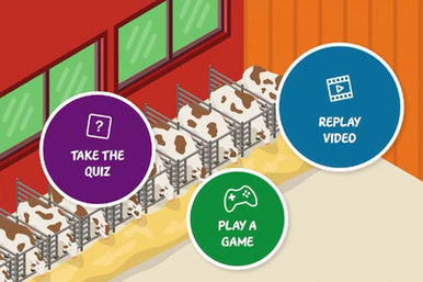 Virtual School Trip capture 4