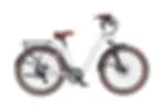 Thumbnail: Santa Monica eBike