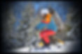 skibike-(12)_650x650