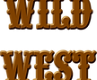 WildWestURWWoodPNG1.png