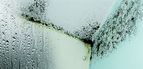 Condensation-800x600_edited.jpg